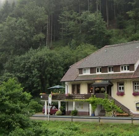 Be Me Black Forest Family Apartment -Zum Letzten G'Stehr Bad Rippoldsau-Schapbach Dış mekan fotoğraf