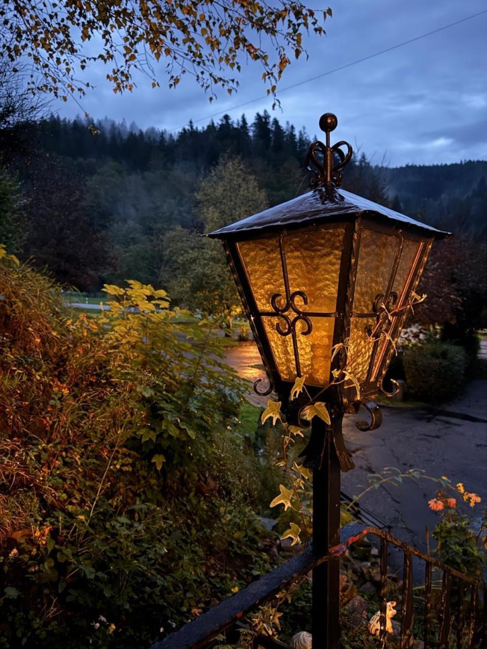 Be Me Black Forest Family Apartment -Zum Letzten G'Stehr Bad Rippoldsau-Schapbach Dış mekan fotoğraf